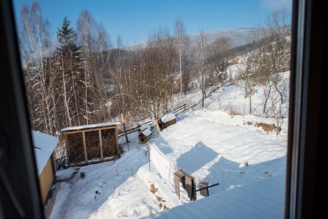 Gazdіvska Hata Guest House ヤレムチャ エクステリア 写真