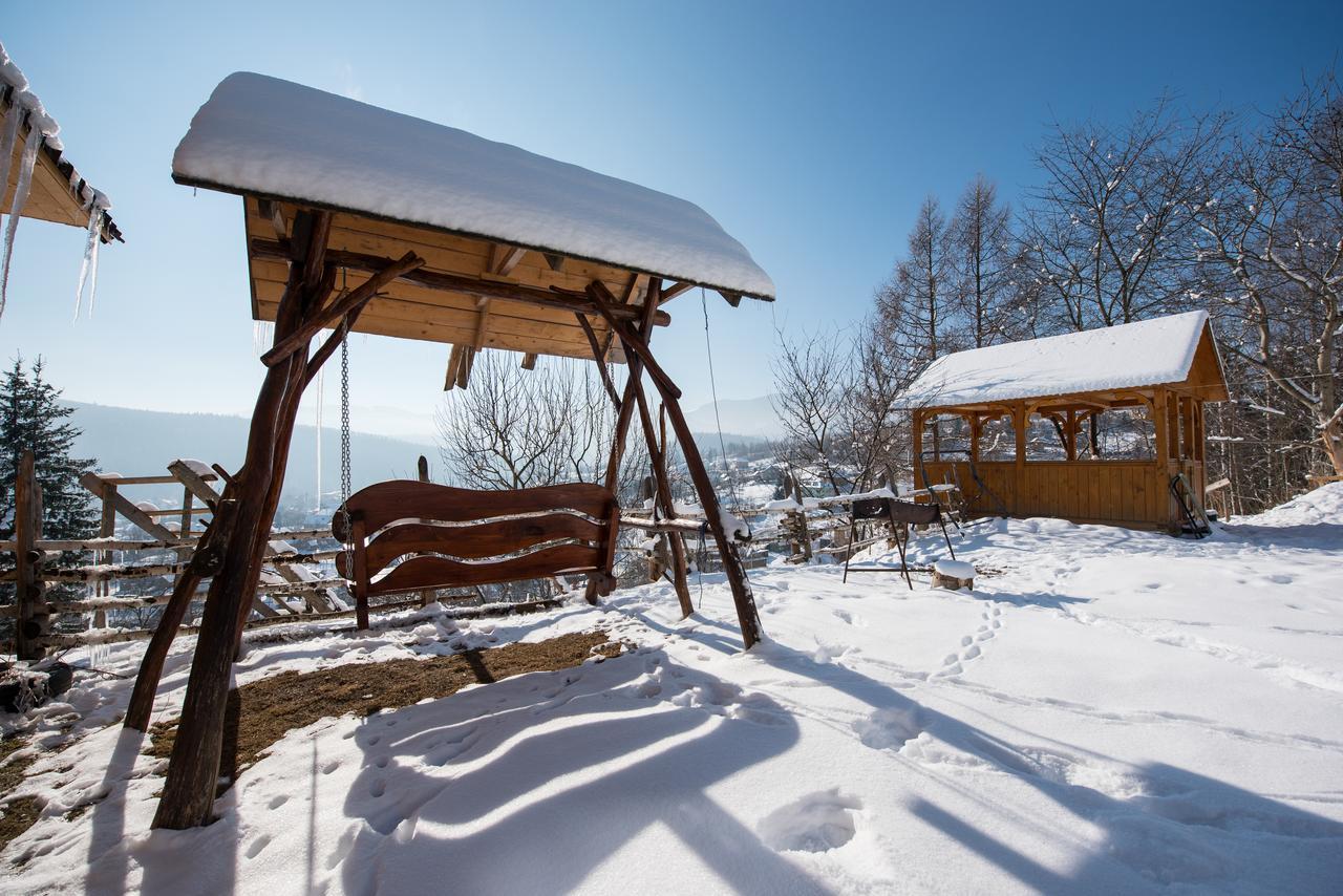 Gazdіvska Hata Guest House ヤレムチャ エクステリア 写真