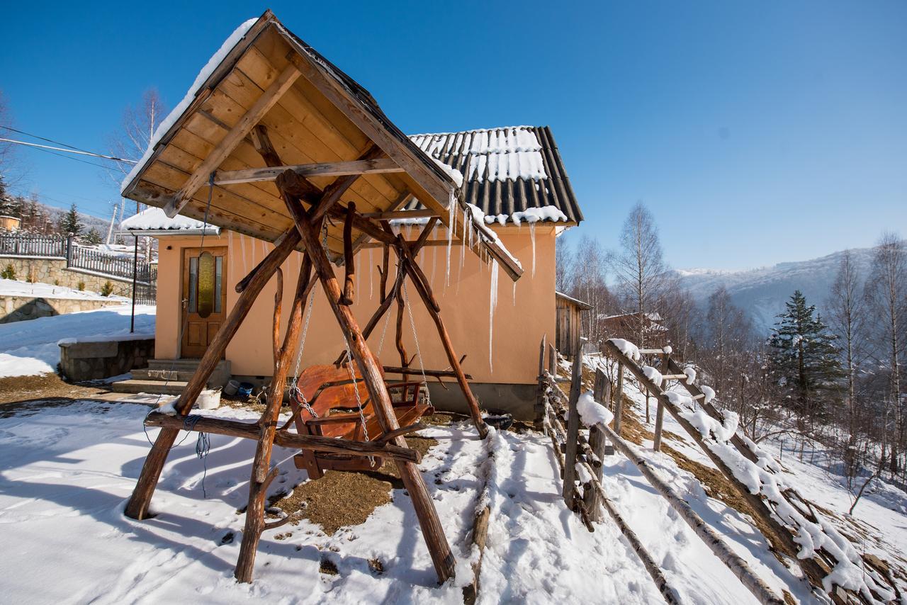 Gazdіvska Hata Guest House ヤレムチャ エクステリア 写真